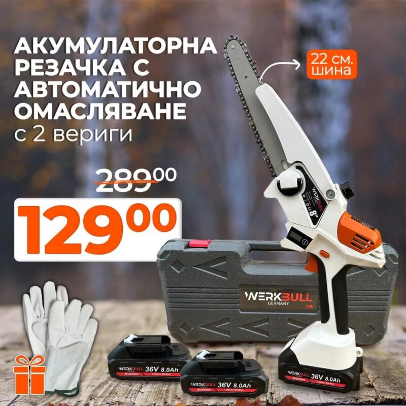 Акумулаторна безчеткова резачка с омасляване WerkBull с две батерии + подарък верига и ръкавици